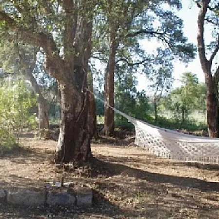 Quiet Near Center * Porto-Vecchio (Corsica)