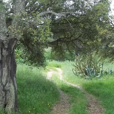Quiet Near Center *